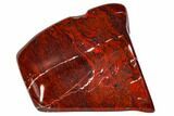 Polished Stromatolite (Collenia) - Minnesota #104415-1